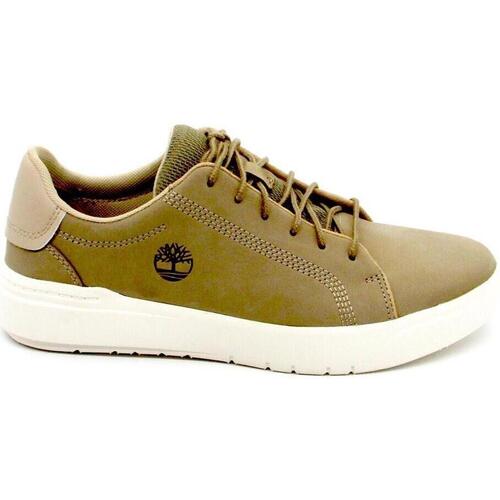 Chaussures Homme Baskets mode Timberland  Multicolore