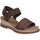 Chaussures Femme Sandales et Nu-pieds Skechers 114687-BRN Marron