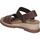 Chaussures Femme Sandales et Nu-pieds Skechers 114687-BRN Marron