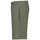 Vêtements Homme Shorts / Bermudas Lacoste Short Vert