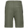 Vêtements Homme Shorts / Bermudas Lacoste Short Vert