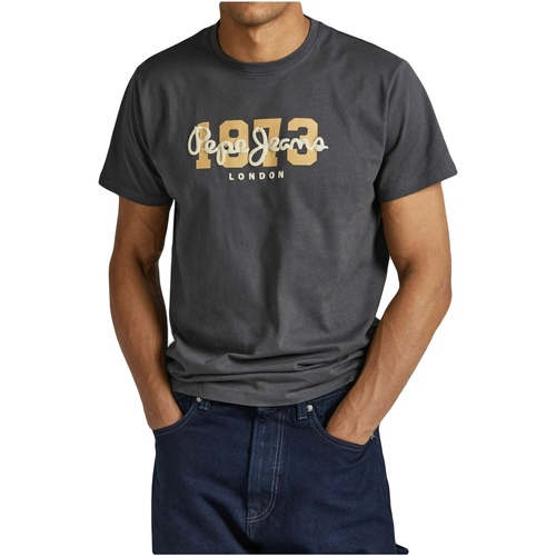 Vêtements Homme T-shirts manches courtes Pepe jeans Tee Shirt manches courtes Gris