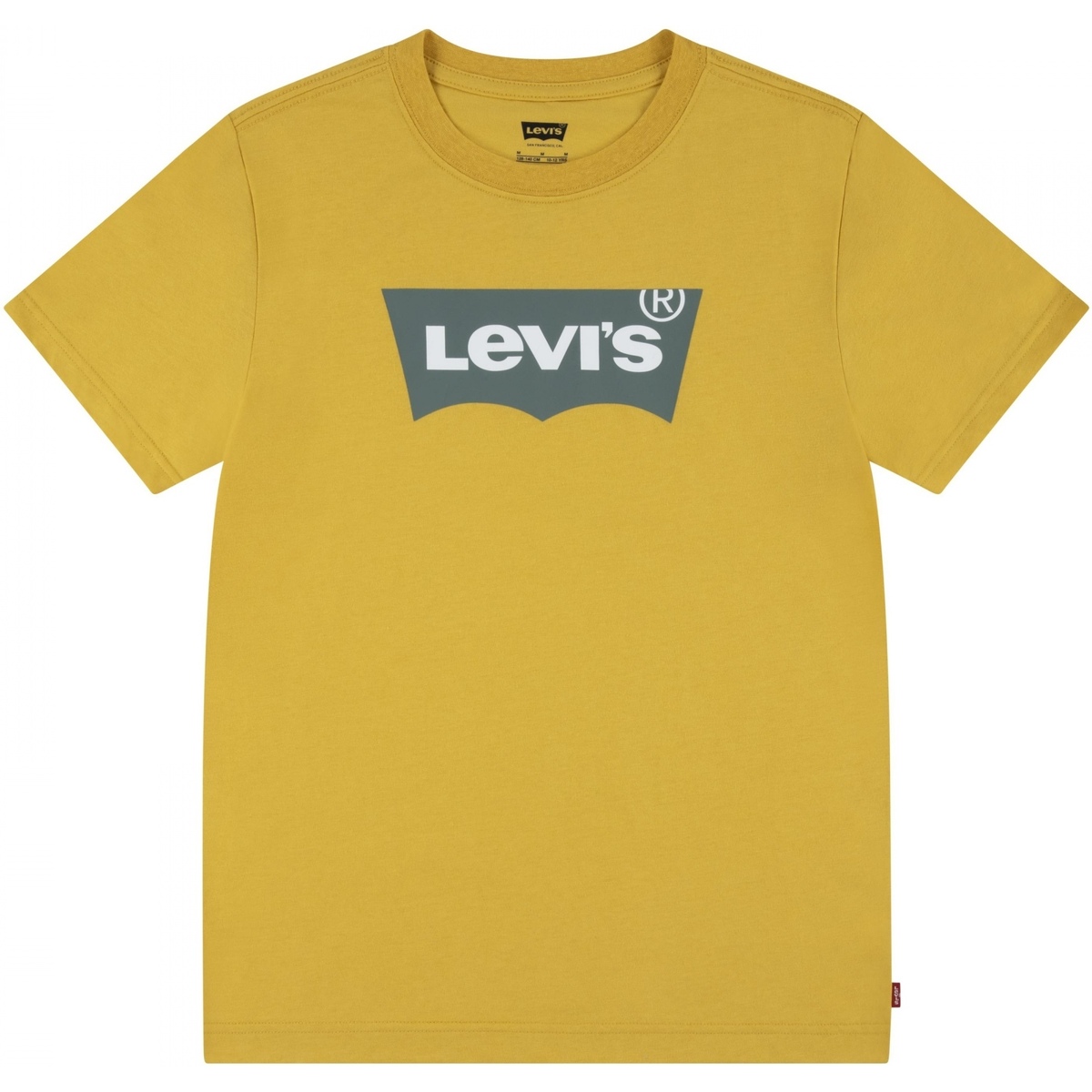 Vêtements Garçon T-shirts manches courtes Levi's Tee Shirt Garçon logotypé Jaune