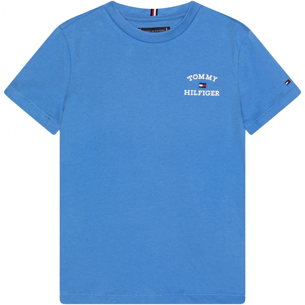 Vêtements Garçon T-shirts manches courtes Tommy Hilfiger Tee Shirt Garçon manches courtes Bleu