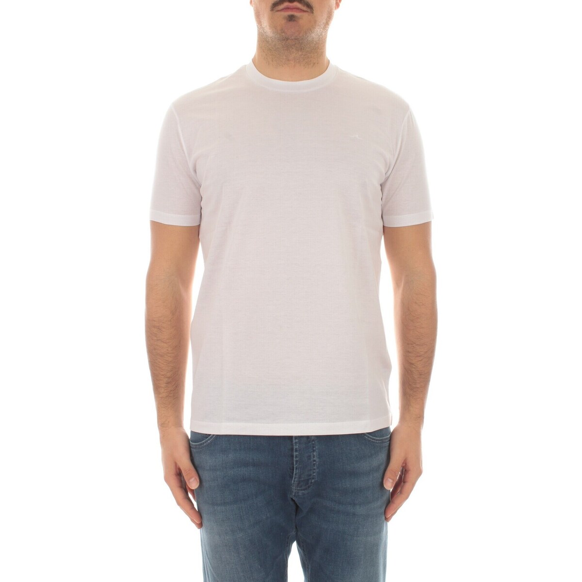 Vêtements Homme T-shirts manches courtes balmain grey sweatshirt 24411006 Blanc