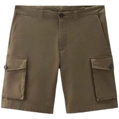Vêtements Homme Shorts / Bermudas Woolrich prix dun appel local Lake Olive Vert