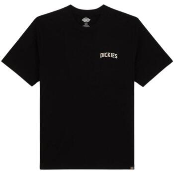Vêtements Homme Débardeurs / T-shirts sans manche Dickies  Noir