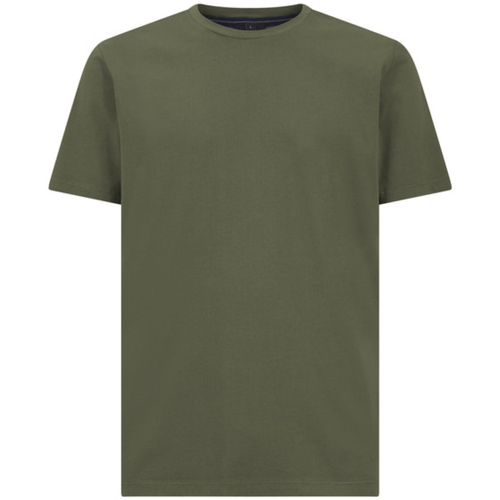 Vêtements Homme T-shirts & Polos Geox M4510BT3097F3511 Vert