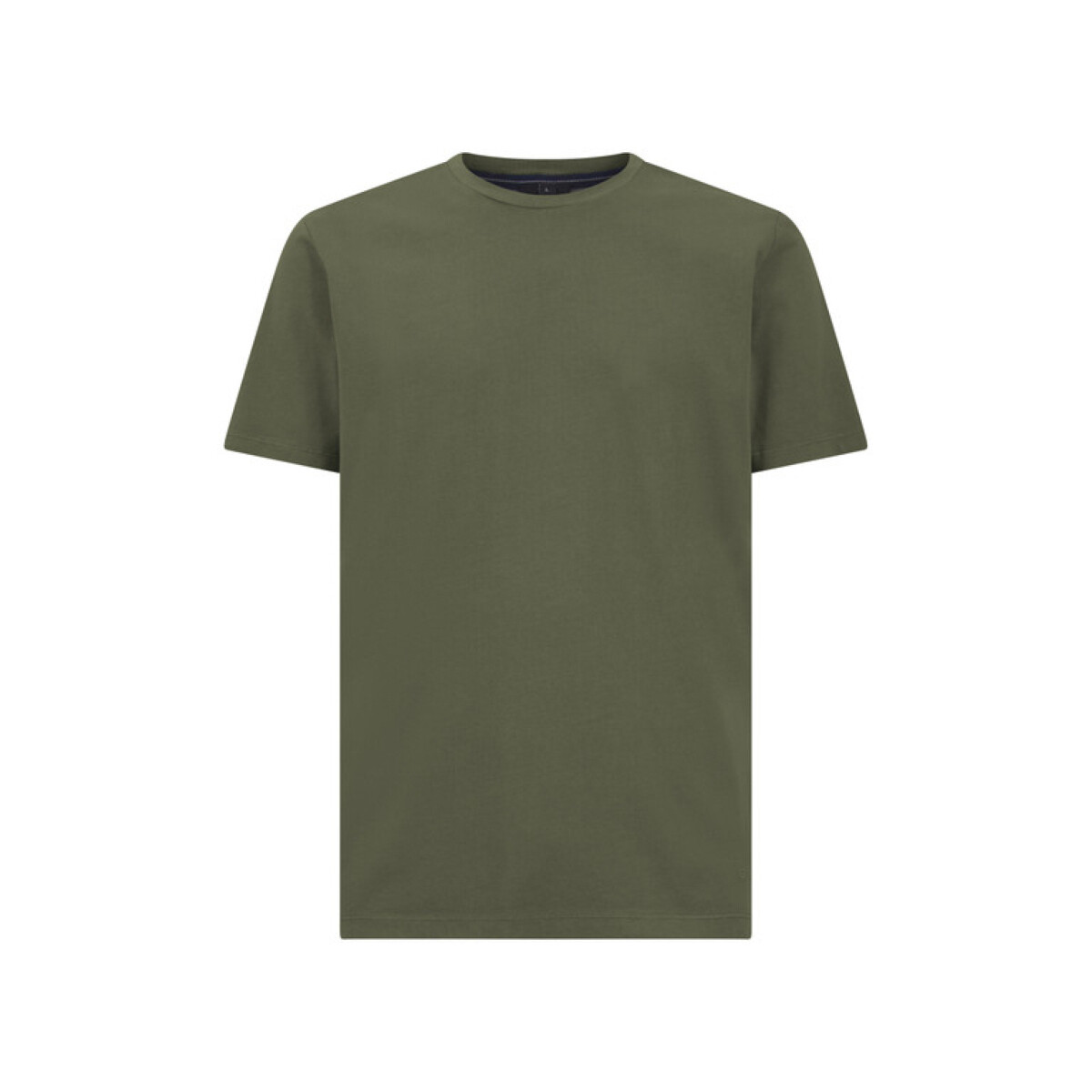 Vêtements Homme T-shirts & Polos Geox M4510BT3097F3511 Vert