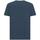 Vêtements Homme T-shirts & Polos Geox M4510BT3097F4326 Bleu