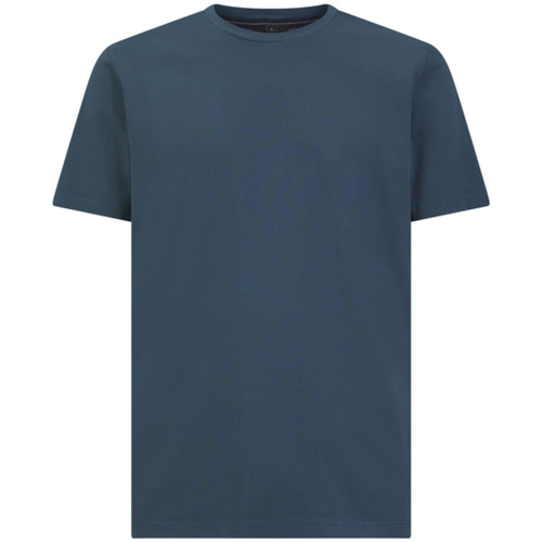Vêtements Homme T-shirts manches courtes Geox M4510BT3097F4326 Bleu