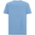Vêtements Homme T-shirts manches courtes Geox M4510BT3097F4602 Bleu