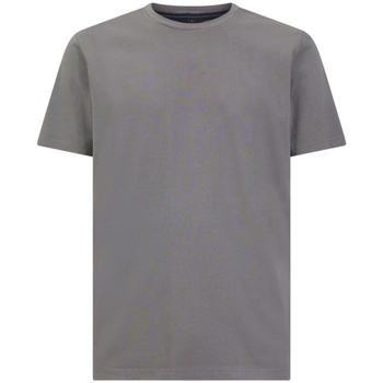 Vêtements Homme T-shirts manches courtes Geox M4510BT3097F9128 Gris