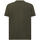Vêtements Homme T-shirts & Polos Geox M4510DT3091F3408 Vert