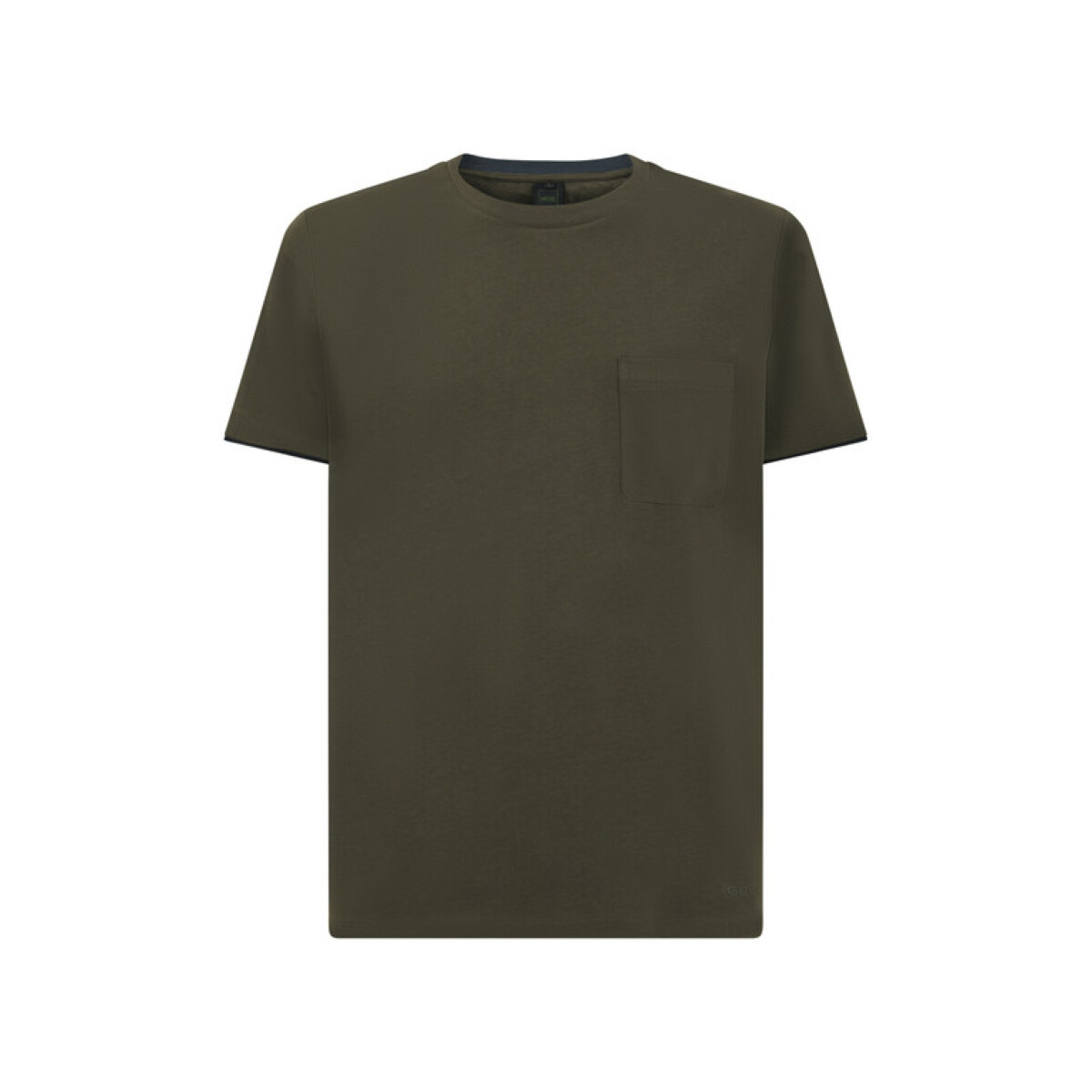 Vêtements Homme T-shirts & Polos Geox M4510DT3091F3408 Vert