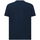 Vêtements Homme T-shirts & Polos Geox M4510DT3091F4070 Bleu