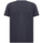 Vêtements Homme T-shirts manches courtes Geox M4510FT3091F1704 Bleu