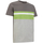 Vêtements Homme T-shirts manches courtes Geox M4510FT3091F1779 Gris