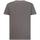 Vêtements Homme T-shirts & Polos Geox M4510FT3091F1779 Gris
