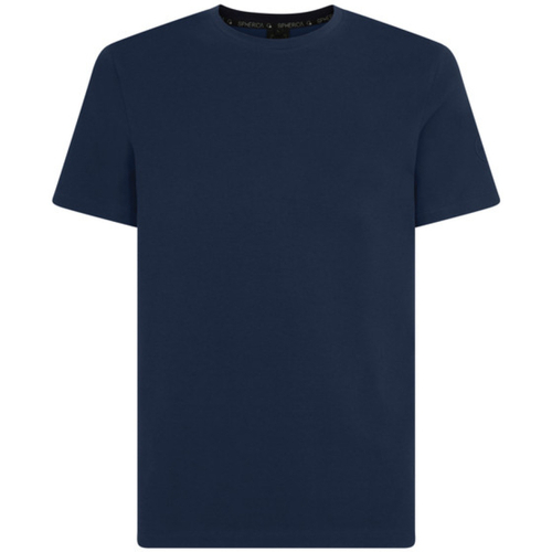 Vêtements Homme T-shirts & Polos Geox M4510KT3098F4070 Bleu