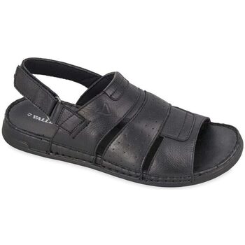Chaussures Homme Sandales et Nu-pieds Valleverde 36935-Nero Noir