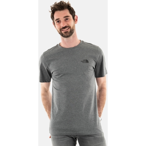 Vêtements Homme T-shirts manches courtes The North Face 0a87ng Gris