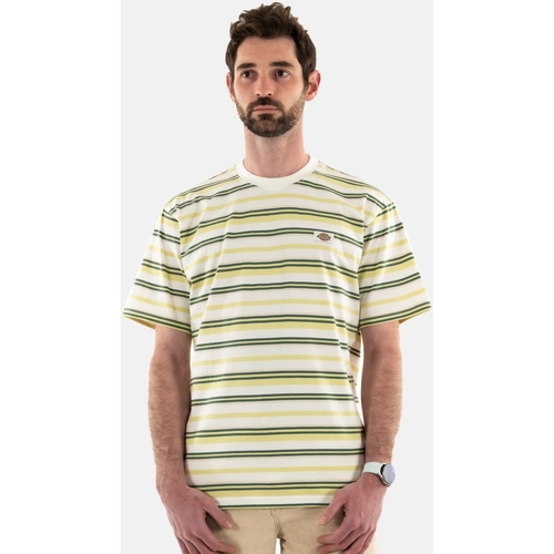 Vêtements Homme T-shirt 100 % coton à imprimé coeur du 0 au 3 ans Dickies 0a4yr1 Vert
