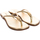 Chaussures Femme Sandales et Nu-pieds MICHAEL Michael Kors 40T2AEFA1M-PALE GOLD Doré