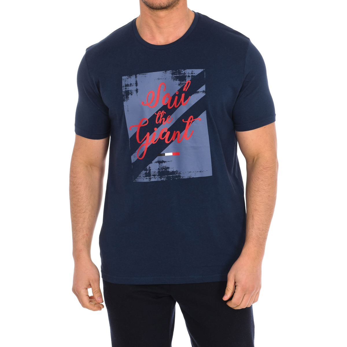 Vêtements Homme T-shirts manches courtes Daniel Hechter 75114-181991-680 Marine