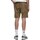 Vêtements Homme Shorts / Bermudas Gramicci G104-OGT Autres