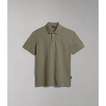 Vêtements Homme T-shirts & Polos Napapijri EOLANOS 3 NP0A4GB3.-GAE GREEN LICHEN Vert
