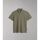 Vêtements Homme T-shirts & Polos Napapijri EOLANOS 3 NP0A4GB3-GAE GREEN LICHEN Vert
