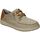 Chaussures Homme Derbies & Richelieu Skechers 210116-TPE Beige