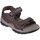 Chaussures Homme Sandales et Nu-pieds Skechers 31493 Marron