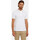 Vêtements Homme T-shirts manches courtes Geox M POLO Blanc