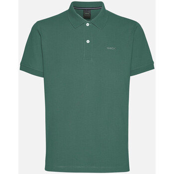 Vêtements Homme T-shirts & Polos Geox M POLO vert forêt