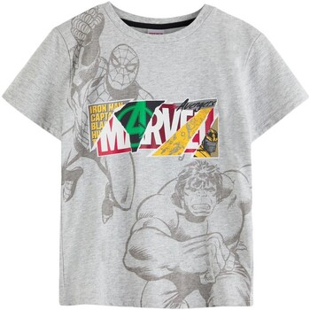 Vêtements Enfant T-shirt à Manches Courtes Los Angeles Lakers Mesh Logo Marvel NS8173 Gris