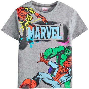 Vêtements Enfant T-shirts manches courtes Marvel  Gris