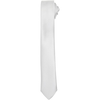 Vêtements Cravates et accessoires Premier PR793 Multicolore