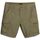 Vêtements Homme Shorts / Bermudas Napapijri NOTO 2.0 NP0A4HOQ-GAE GREEN LICHEN Vert