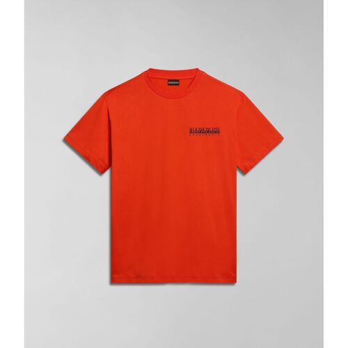 Vêtements Homme T-shirts & Polos Napapijri S-GOUIN NP0A4HTQ-A63 ORANGE SPICY Orange