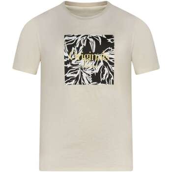 Vêtements Homme T-shirts Company manches courtes Jack & Jones 161547VTPE24 Beige