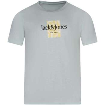 Vêtements Homme T-shirts manches courtes Jack & Jones 161548VTPE24 Vert