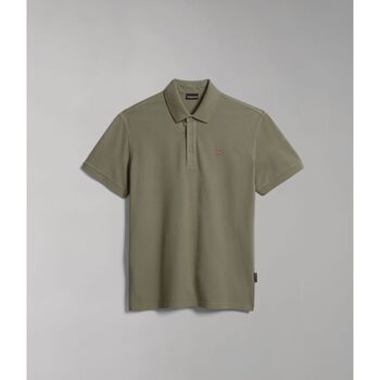 Vêtements Homme T-shirts & Polos Napapijri EOLANOS 3 NP0A4GB3-GAE GREEN LICHEN Vert