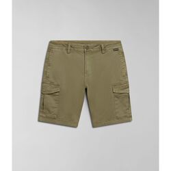 Vêtements Homme Shorts / Bermudas Napapijri N-DELINE NP0A4HOT-GAE GREEN LICHEN Vert