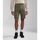 Vêtements Homme Shorts / Bermudas Napapijri N-HORTON NP0A4HOS-GAE GREEN LICHEN Vert