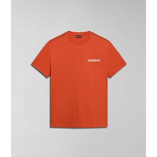 Vêtements Homme T-shirts & Polos Napapijri S-GRAS NP0A4HQN-A62 ORANGE BURNT Orange