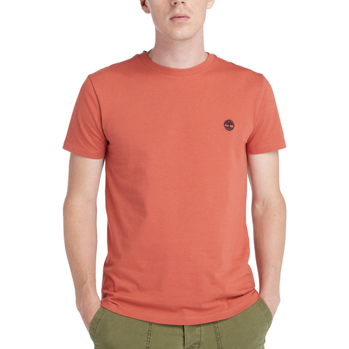 Vêtements Homme T-shirts manches courtes Timberland Dunstan River Rouge