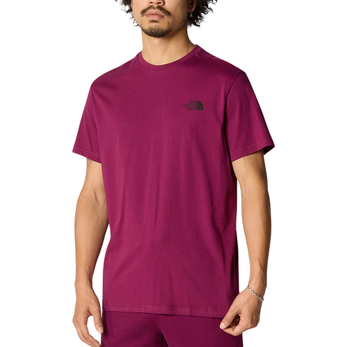 Vêtements Homme T-shirts manches courtes The North Face Simple Dome Violet