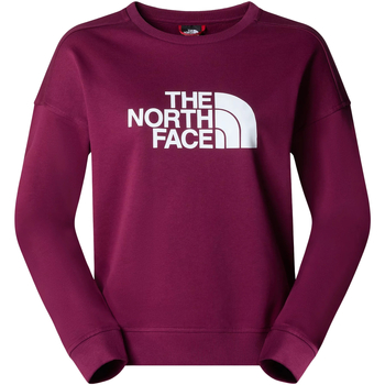 Vêtements Femme Sweats The North Face Drew Peak Violet